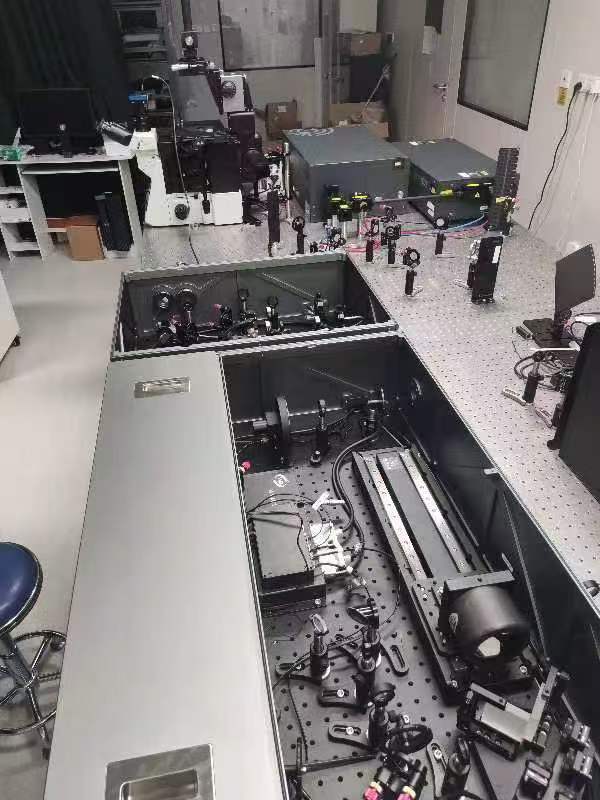 宽场飞秒瞬态吸收成像系统