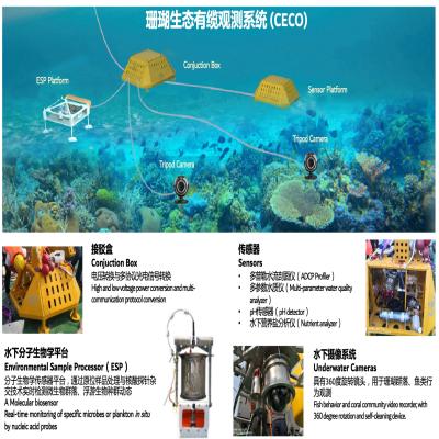 珊瑚礁在线监测系统